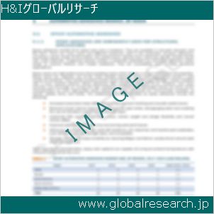 グローバルリサーチ調査レポートのイメージ